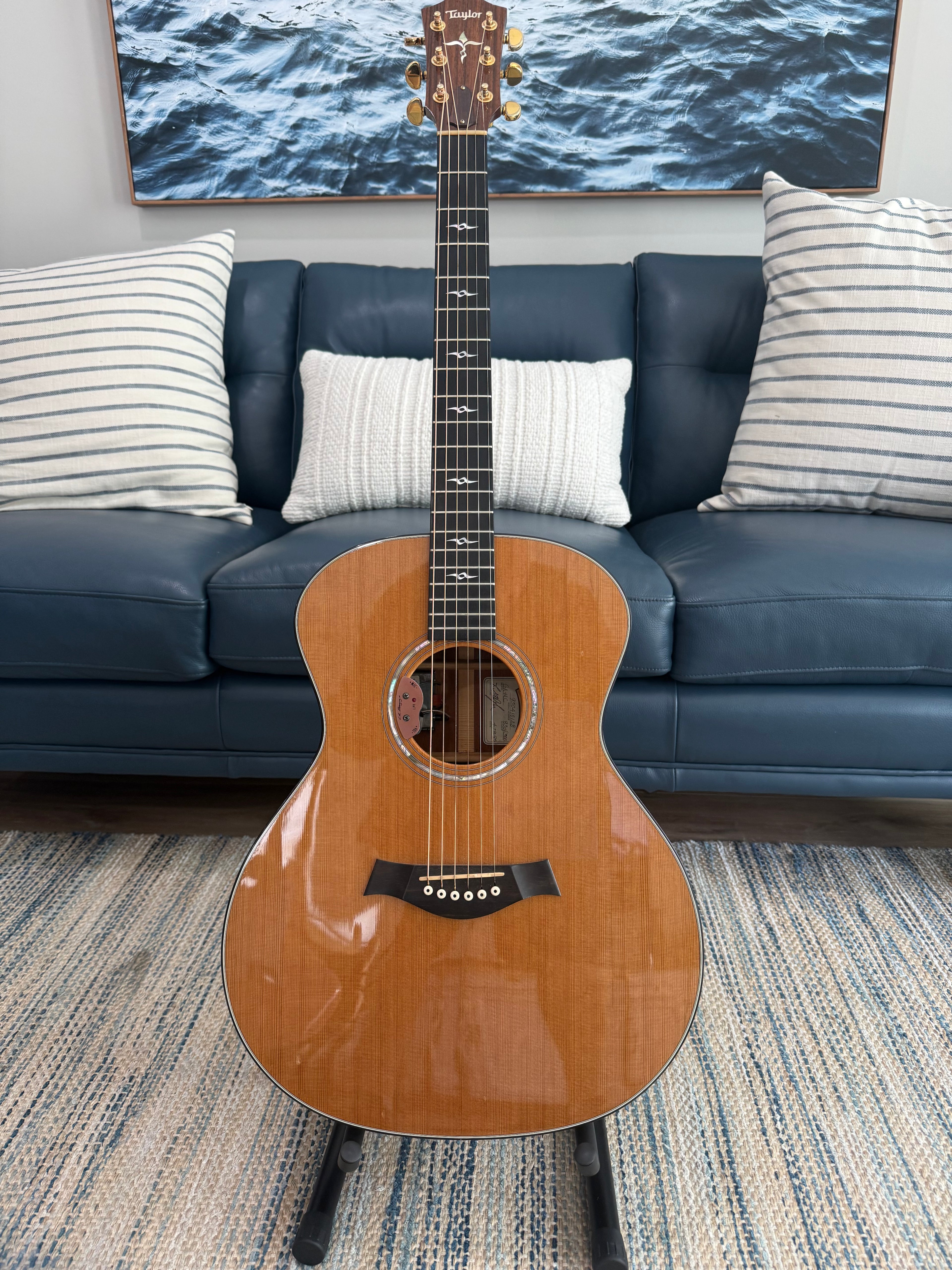 Taylor GM-AC Used