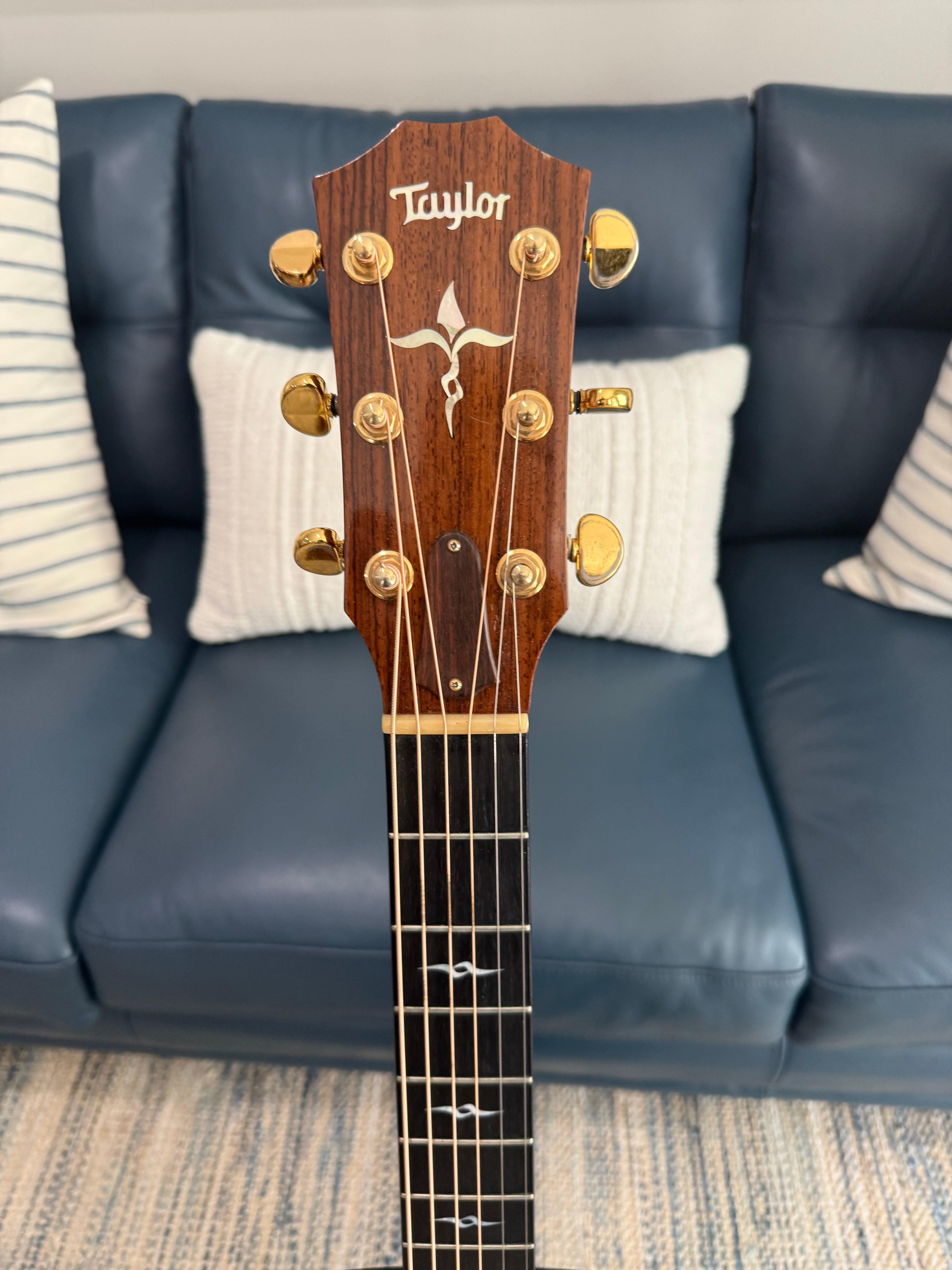 Taylor GM-AC Used