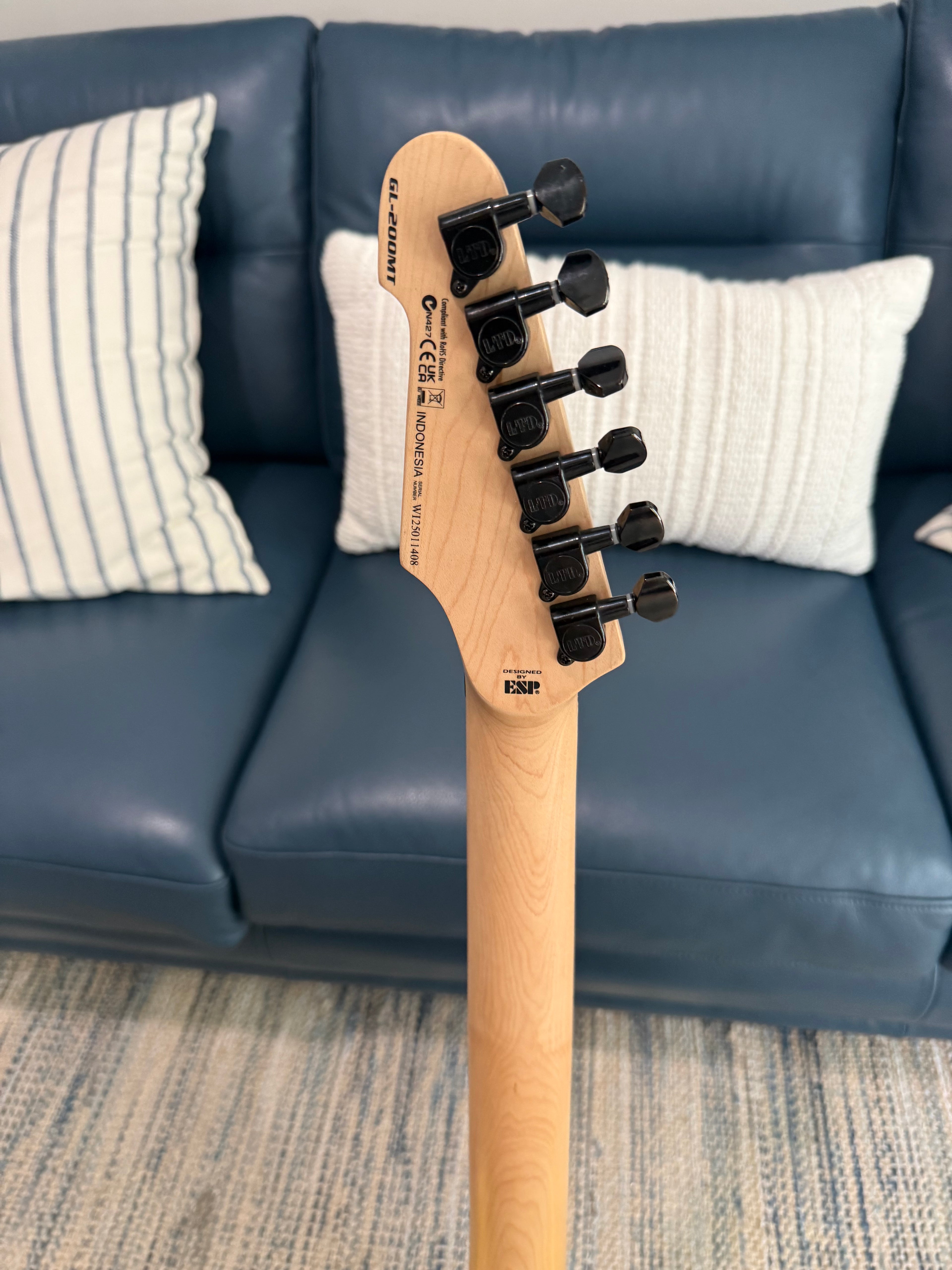 ESP LTD GL-200MT George Lynch Signature Used