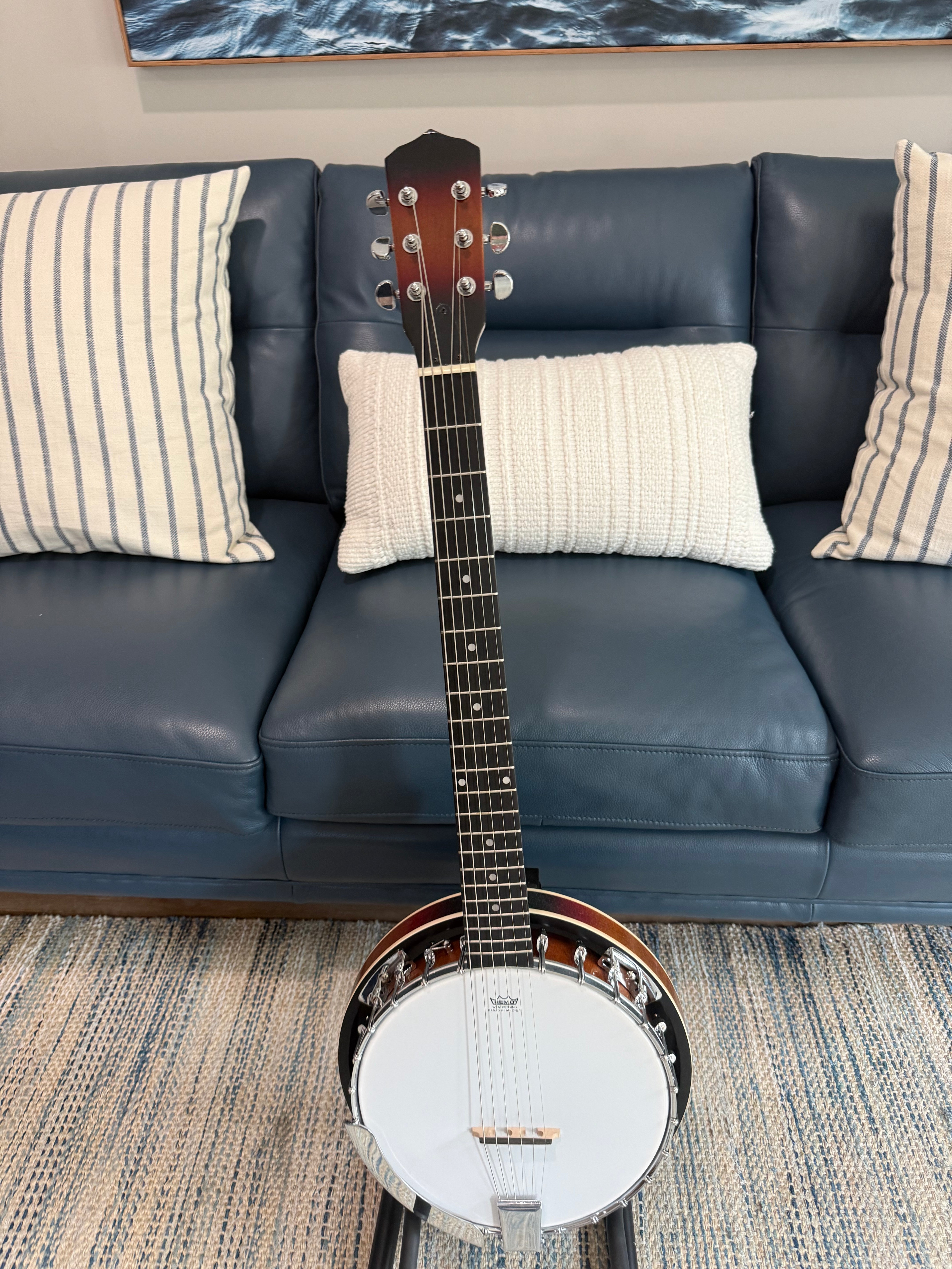 Six-String Banjos for Sale - Palm Harbor Music