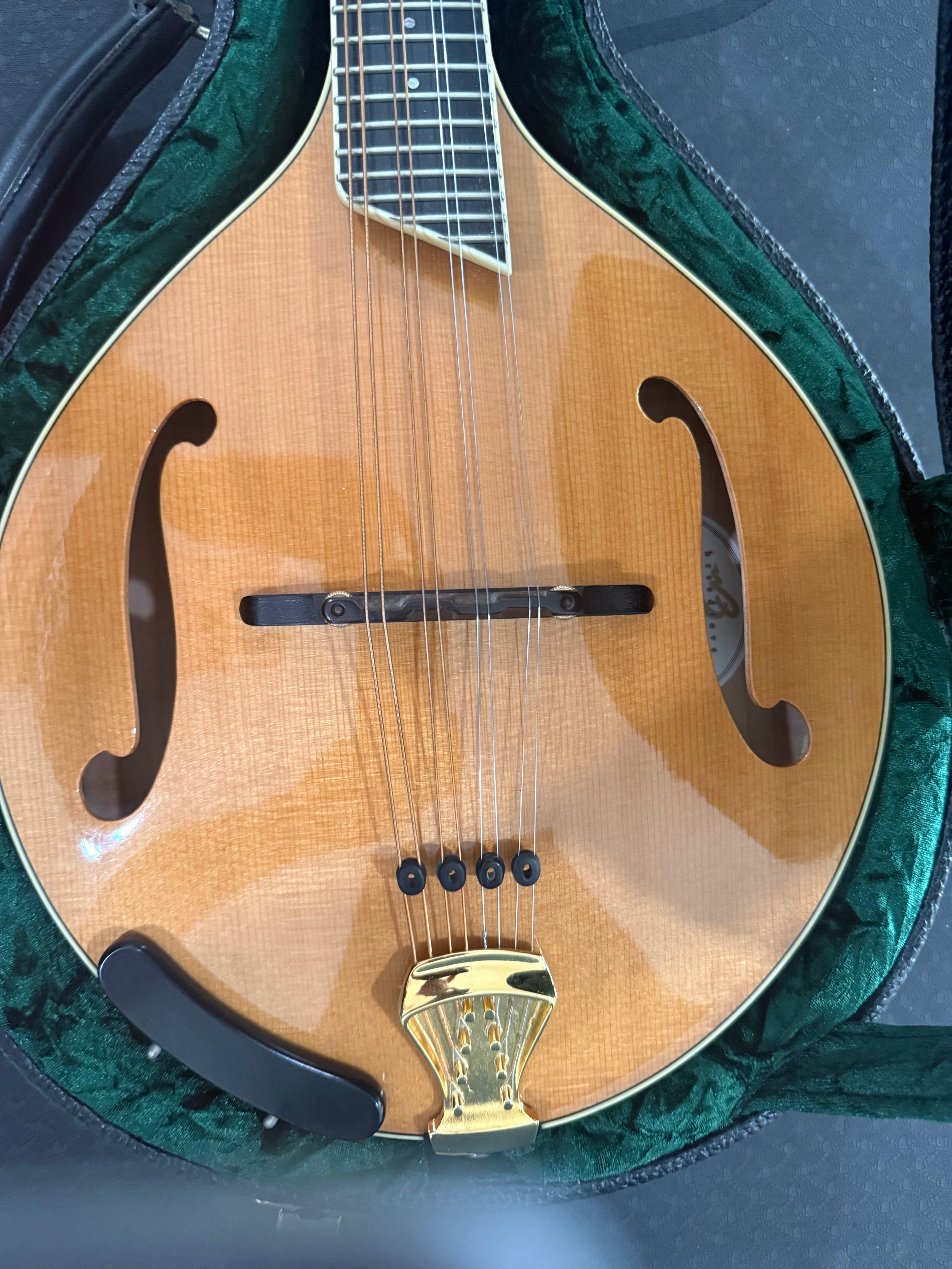 Breedlove Alpine Master Grade Mandolin Used